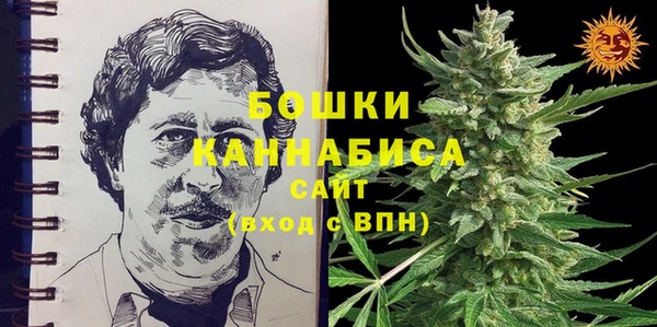 спайс Алзамай