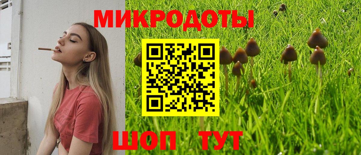 Находка  Галлюциногенные грибы GOLDEN TEACHER  Псилоцибиновые грибы мухоморы  Вход с VPN 